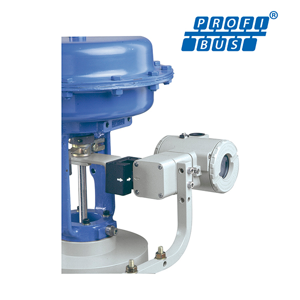 TP303_600x600.jpg
