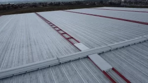 Silicón para Techos